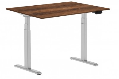 Električna dvižna miza optiSMART2 SIVA